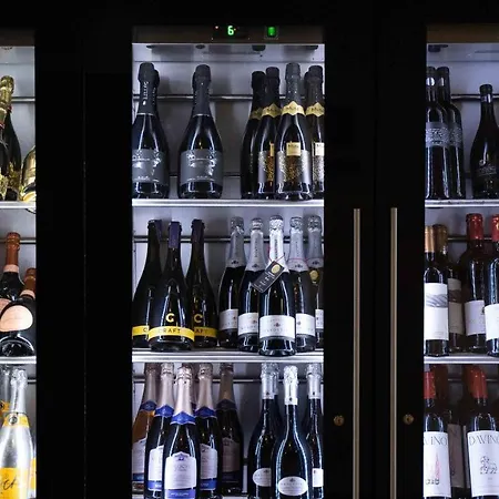 泰丽福利可大酒店 波亚纳布拉索夫